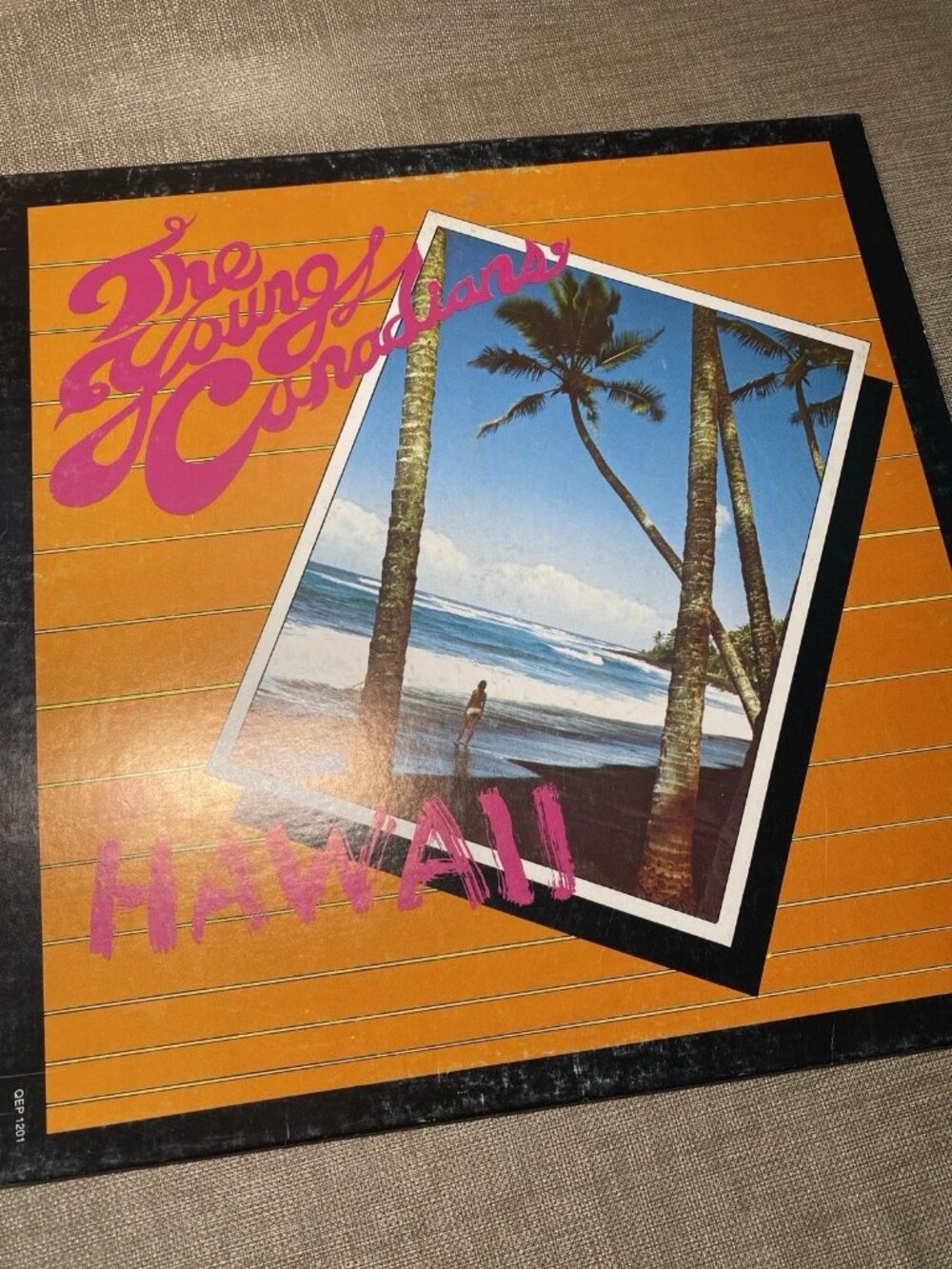 The Young Canadians Hawaii LP 1979 Quintessence Records Canadian Punk Vinyl